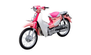 cho thue xe may cub50cc tphcm